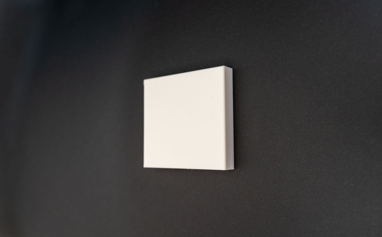 Slide on UK Light Switch Cover Smart Home Smart Bulbs